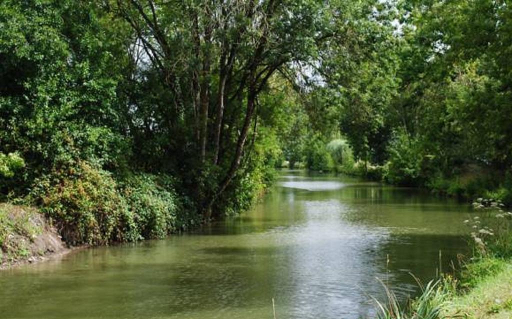 La Poussardiere Saint-Martin-sous-Mouzeuil Esterno foto